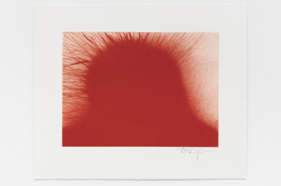 Anish Kapoor